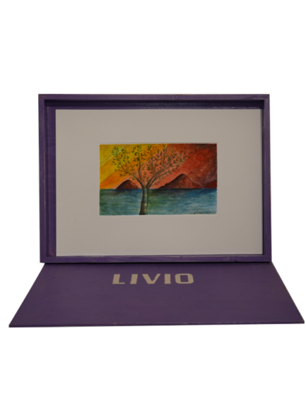 Quadro 5