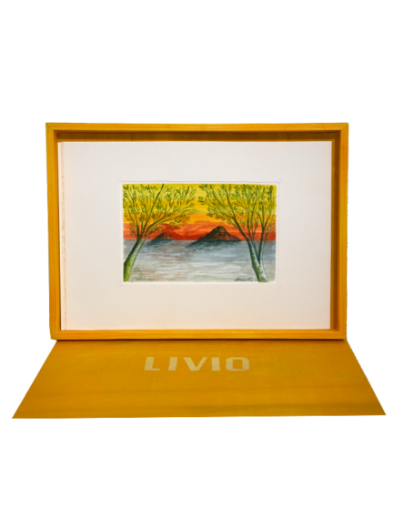 Quadro 9
